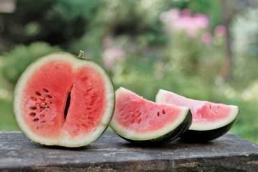 Wassermelone – der kalorienarme Durstlöscher für heiße Sommertage!