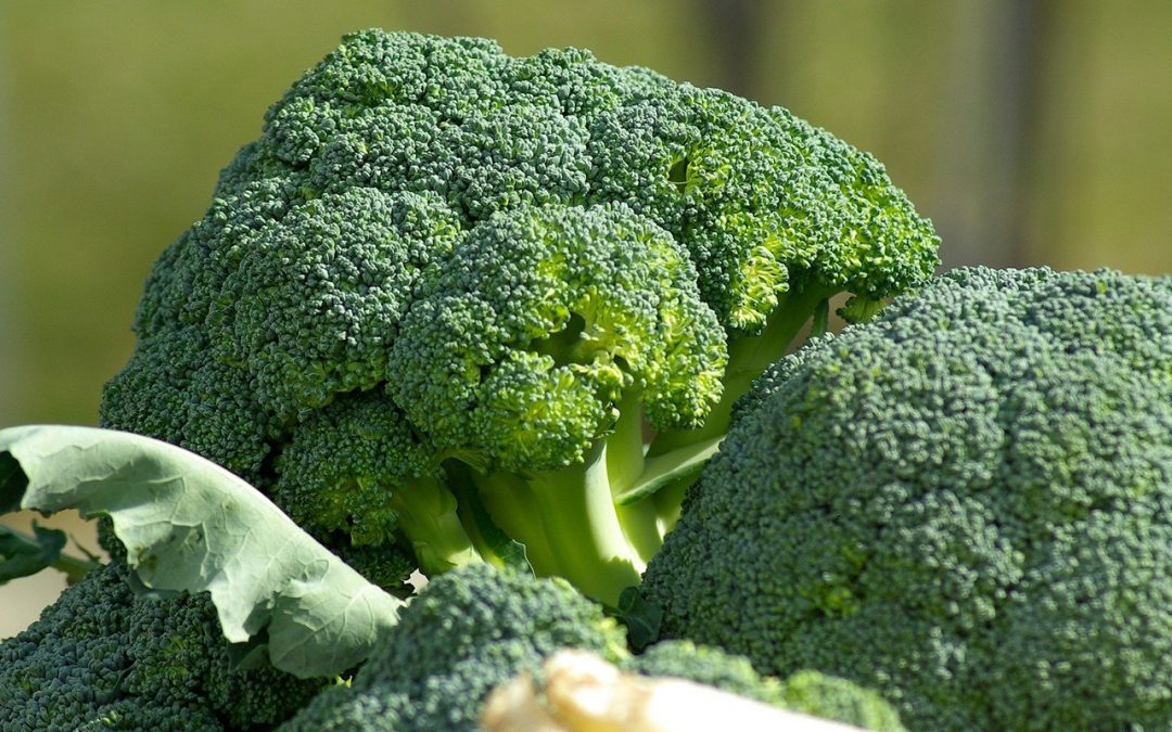 Vitamin C in Gemüse: die Top 5 Quellen