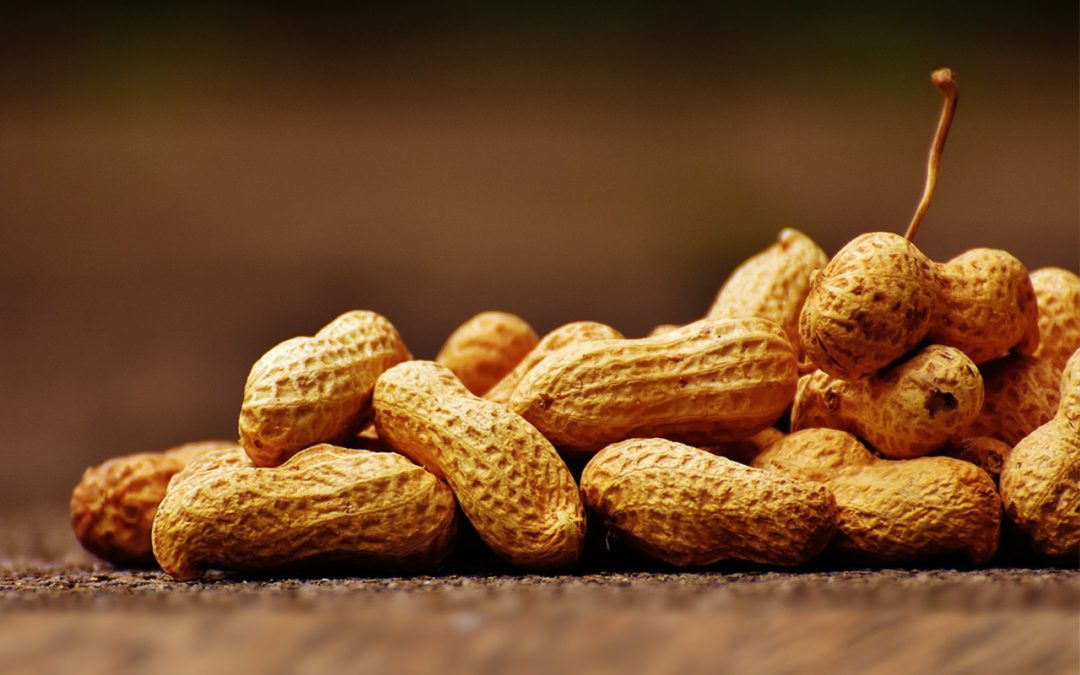 Schwefelhaltige Lebensmittel vegan