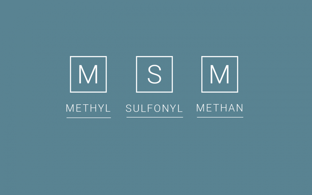 Was ist eigentlich MSM ?