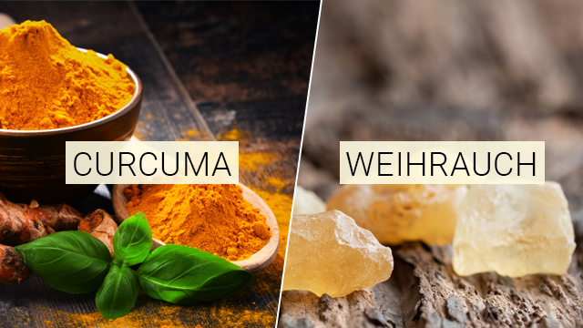 Curcuma & Weihrauch - Nahrungsergänzungsmittel - Paneta Lifebalance