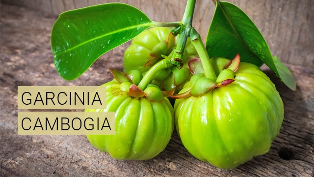 Die exotische Frucht Garcinia Cambogia - Nahrungsergänzungsmittel - Paneta Lifebalance