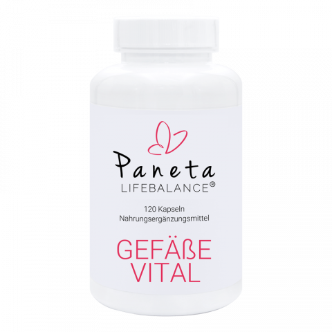 Gefäße Vital