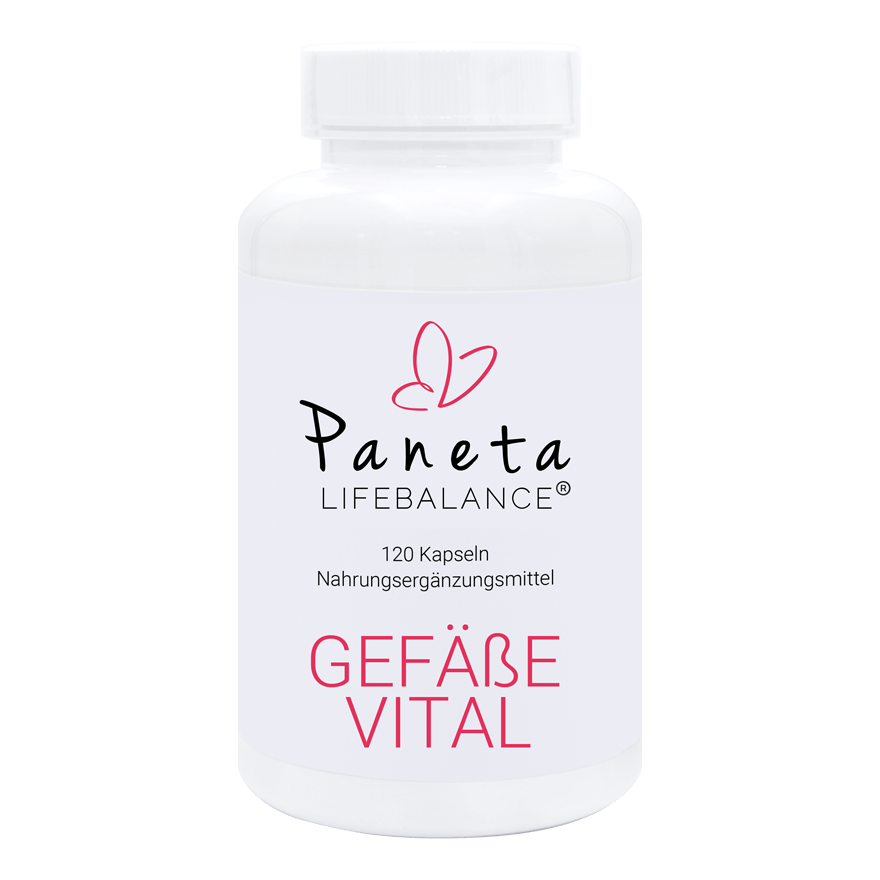 Gefäße Vital