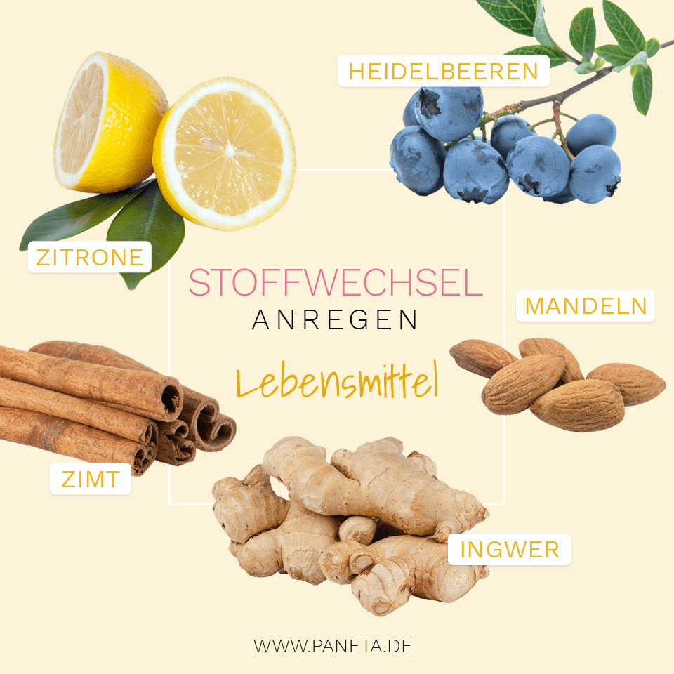 stoffwechsel-anregen